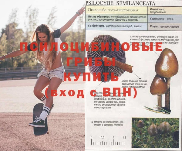 гашишное масло Балабаново