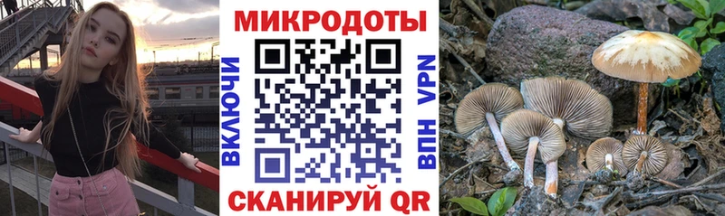 Галлюциногенные грибы Psilocybe  сколько стоит  Судак 